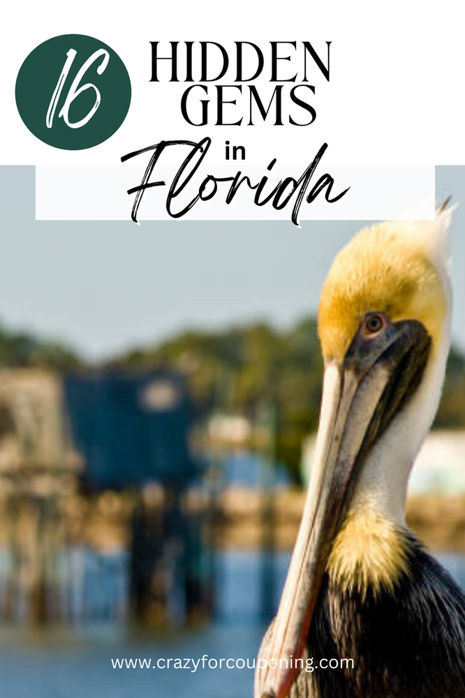 Discovering Florida's 16 Hidden Gems You Need to Visit Crazy For